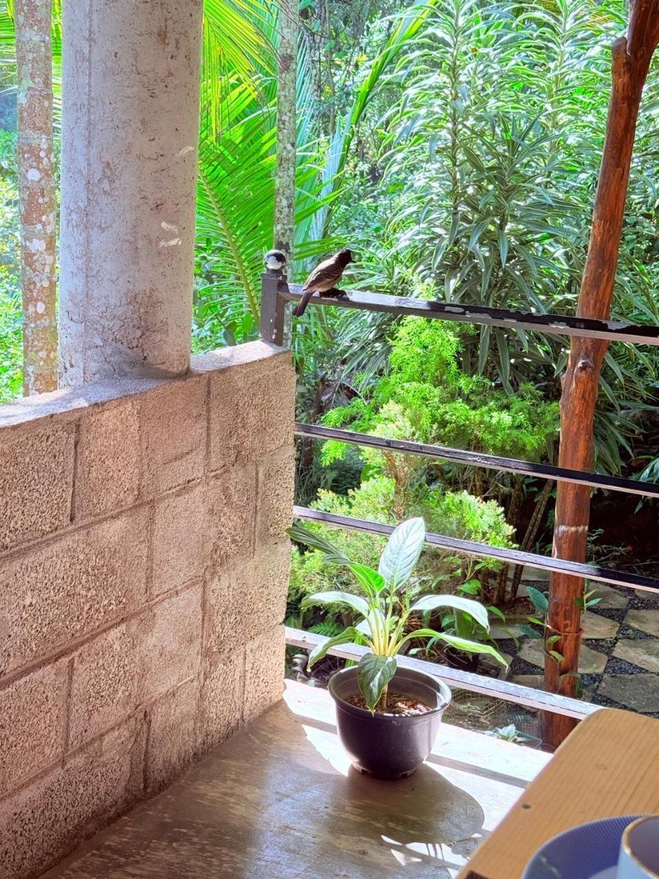 Sky Garden Ella Apartment Exterior photo